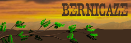 Bernicaze