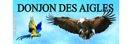 Donjon des aigles