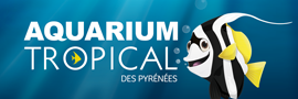 Aquarium Tropical